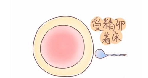 试管婴儿前期检查项目都有什么啊