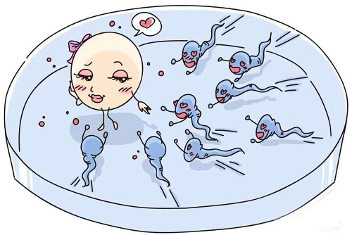试管婴儿促排卵过程中频繁B超的原因