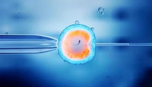 试管婴儿冷冻胚胎的5个理由，你Pick哪一个？
