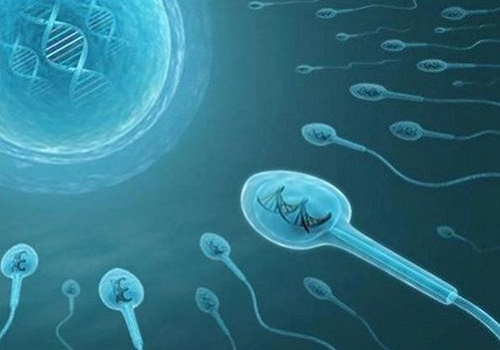 试管婴儿方案有哪几种？具体内容是什么？
