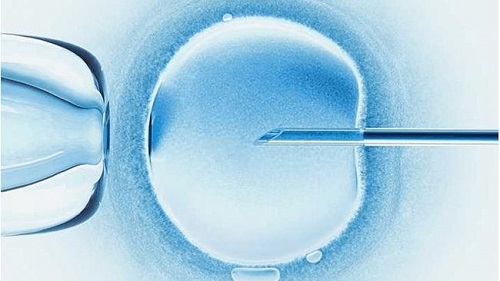 美国试管婴儿专家：卵巢功能衰退并不意味着生育无望
