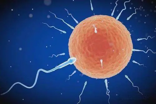 试管婴儿全过程是什么？原来有4步