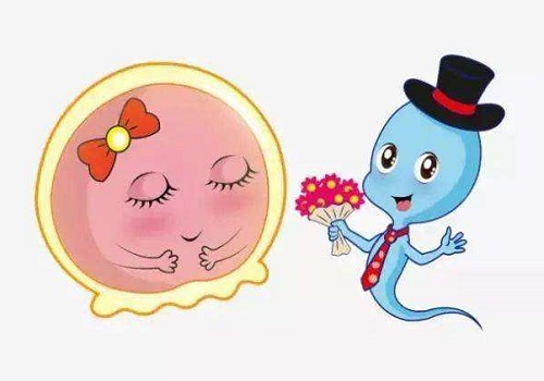 二胎做试管成功率高吗
