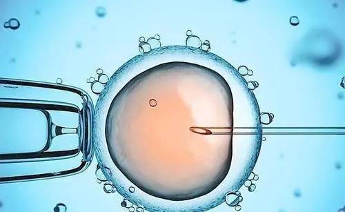 美国试管婴儿取卵后卵巢多久可以恢复好？