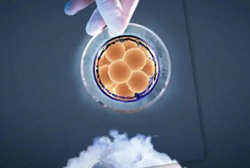 试管婴儿胚胎不着床的原因？