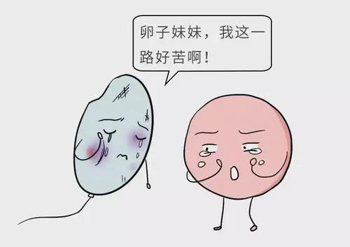 西安三代试管婴儿医院排名怎么选择？