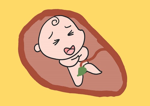 试管婴儿一次成功率怎么才能高点