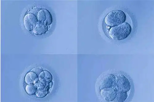 美国试管婴儿：AMH值为2.5卵子储存量是多少？