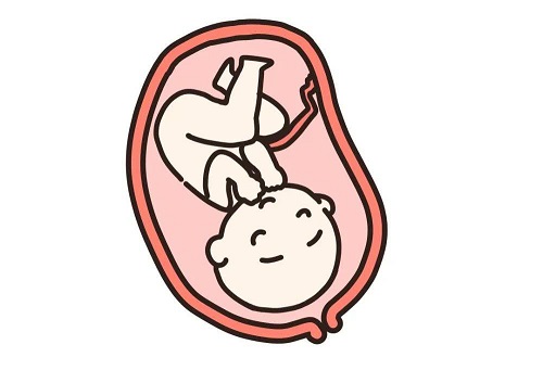 试管婴儿90%不是自己的？这到底是怎么回事呢？