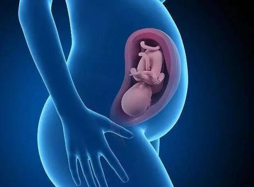 纵膈子宫能去泰国做试管婴儿吗？