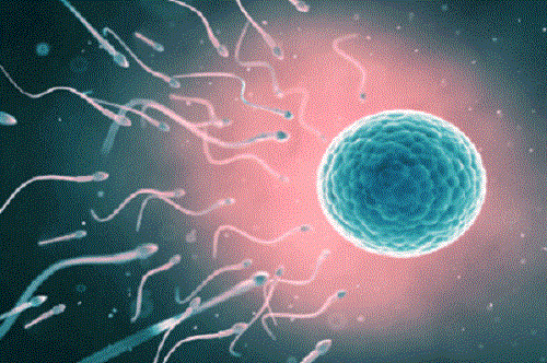 胚胎碎片多是什么原因？泰国试管婴儿怎么预防？
