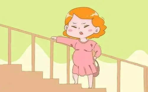 精子百分之十可以做试管吗？多少钱？检查什么？