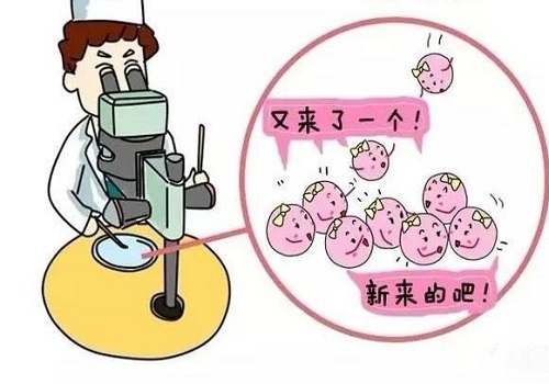 做一次试管婴儿的花费是多少钱