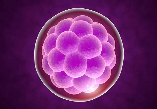 试管婴儿胚胎培养囊胚成功率由什么决定？