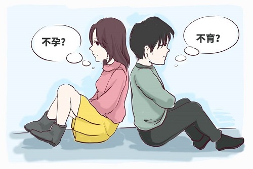 试管婴儿一次成功率有多高
