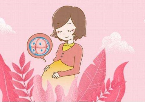 试管医院成功率排名好吗