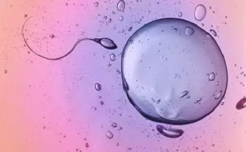 衡阳试管婴儿专家解读：什么是免疫性不孕