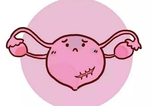试管3代成功率怎么样？有提高攻略吗？