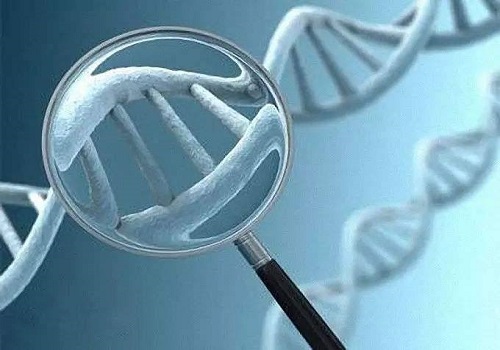 解析试管婴儿中的优势卵泡